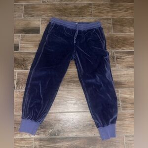 AMO blue velour jogger sweatpants